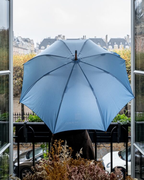 img src="parapluiecourdesvosges.jpg" alt="parapluie"
